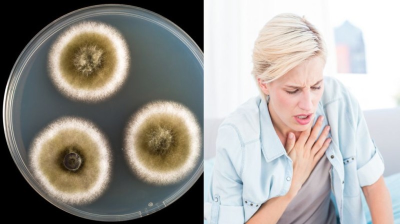 woman and mold
