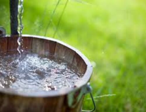 How full is your bucket?