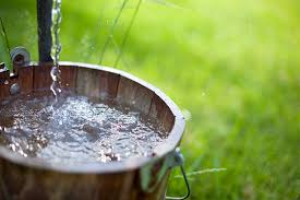Bucket filling