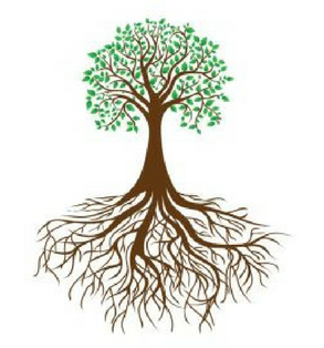 why choose functional medicine functional medicine tree