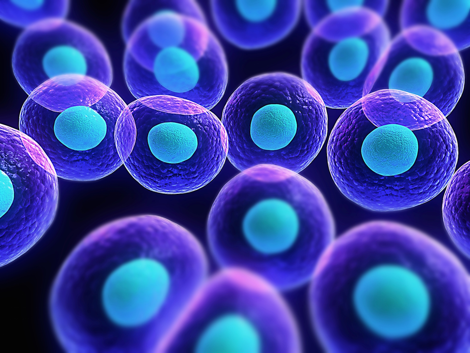 cells picture