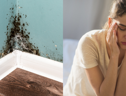 Could Mold Be Making You Tired?